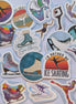 Mystery Figure Skating Sticker Packs